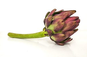 Wilfredor / CC BY-SA 4.0 Alcachofa (Artichoke) - foto real